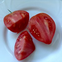 Дагенстанские