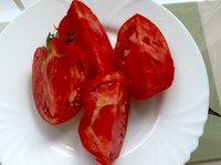 Бык Сак