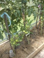 2016-07-23 14-19-28-min.JPG