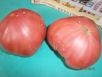 P8010004.JPG