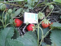 20160719_103036.jpg