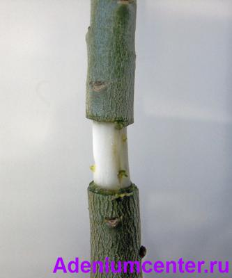 10450f6.jpg