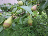 IMG_3362.JPG