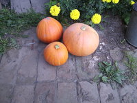 2011.08.26.11.jpg