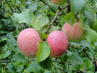 DSC05126-01.jpg