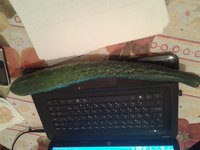 20160823_214340.jpg