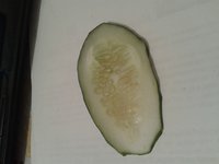 20160823_214216.jpg