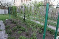 IMG_1103.jpg