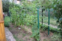 IMG_6011.jpg