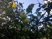 IMG_20160827_162152.jpg