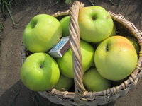 IMG_0891.JPG