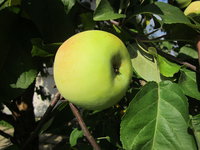 IMG_2161.JPG
