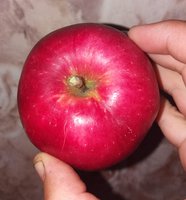 20160827_172230 (2).jpg