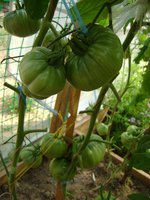 DSC06202.JPG