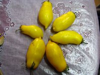 IMG_1497.JPG