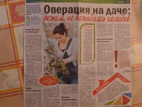 Пашечкина.JPG