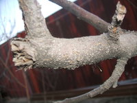 DSCF2621.JPG