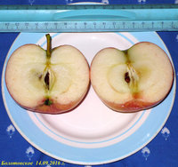 P1080212-3.jpg