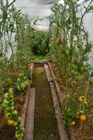 DSC_0143.1.jpg