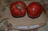 DSC_0975.1.jpg