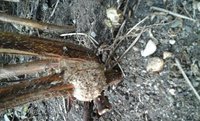 20160924_104428.jpg