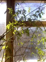 IMG03661.jpg