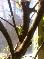 IMG03663.jpg