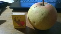 WP_20160925_008.jpg