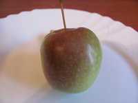 IMG_0007.JPG