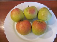 IMG_0024.JPG