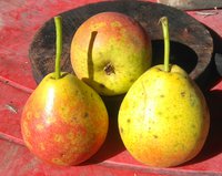 IMG_20161027_233008.JPG
