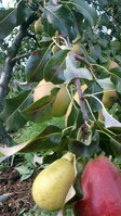 2015-09-07 17-50-19.JPG