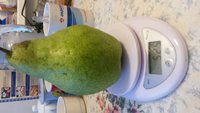 20161111_093829.jpg