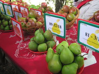 IMG_5758.JPG