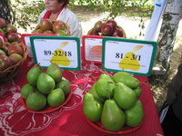 IMG_5760.JPG
