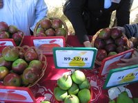IMG_5763.JPG