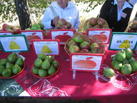 IMG_5765.JPG