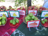 IMG_5767.JPG