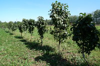P1100294.JPG