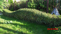 image (15).jpg