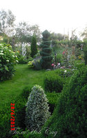 image (19).jpg