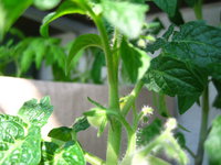 IMG_9849.jpg