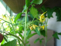 IMG_9848.jpg