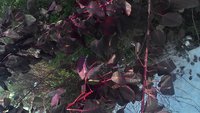 P_20161121_114653_HDR.jpg