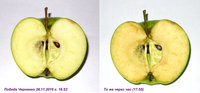 P1080-2-2-2-1.jpg