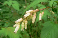 P1020107.JPG