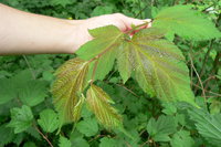 P1020106.JPG
