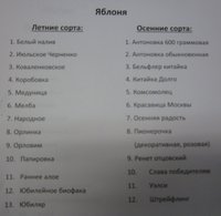 IMG_3985.JPG