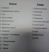 IMG_3988.JPG