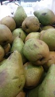20161219_192818.jpg